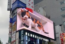 블루엘리펀트, “젠틀몬스터가 주장하는 제품, 법적 보호 대상 아니다”